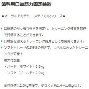 ◆オーラルアカデミー リットレメーター 歯科用...の詳細画像1