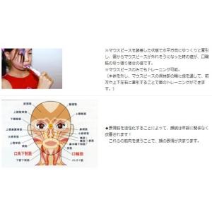 ◆オーラルアカデミー リットレメーター 歯科用...の詳細画像2