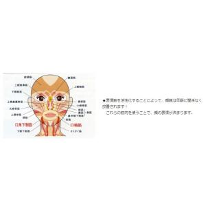 ◆とじろーくんM オーラルアカデミー 歯科用 ...の詳細画像2