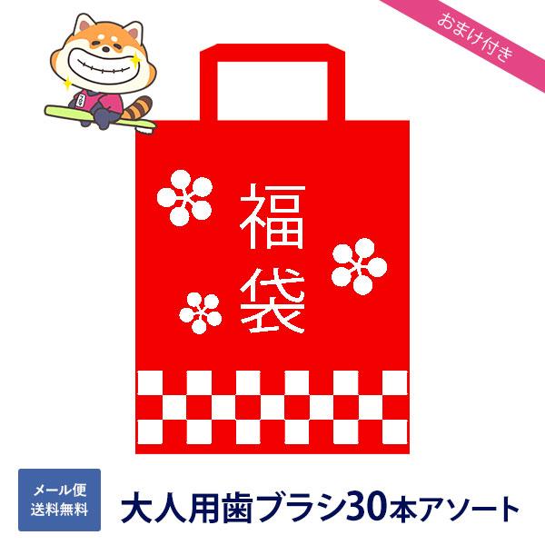 【おまけ付き】【福袋】大人用歯ブラシ20本セット 送料無料(メール便) 歯科医専売 歯ブラシ まとめ...