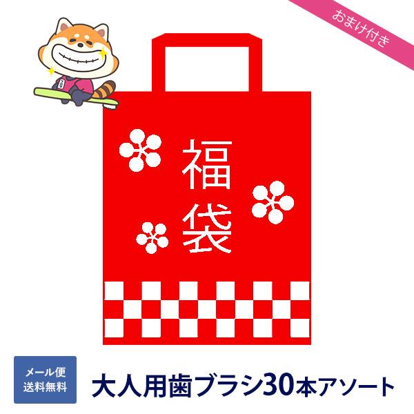 【おまけ付き】【福袋】大人用歯ブラシ30本セット 送料無料(メール便) 歯科医専売 歯ブラシ まとめ...