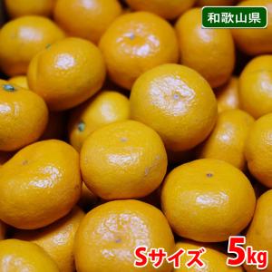 和歌山県産　有田みかん　味一みかん　秀品　Sサイズ　5kg （箱）｜promart-jp