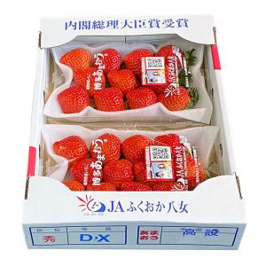 福岡県産 いちご あまおう DX等級 平詰め ...の詳細画像1