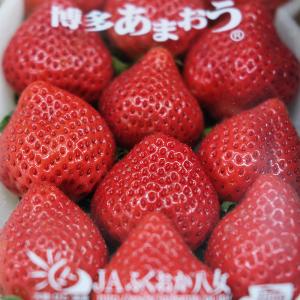 福岡県産 いちご あまおう DX等級 平詰め ...の詳細画像3