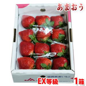 581お買得ウズベキスタン産ザクロ約5kg玉数お任せ 日本初上陸！ウズベキスタン産 100％フレッシュジュース 3本ギフト