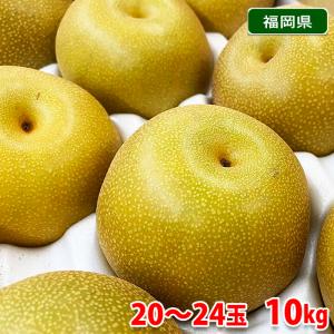 福岡県産　梨　豊水　秀品　20〜24玉入り　10kg （箱） 和梨 国産 フルーツ｜promart-jp