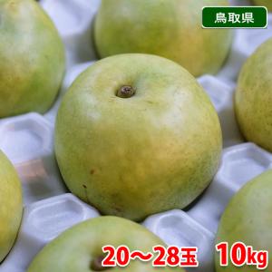 鳥取県産　梨　二十世紀梨　秀品　20〜28玉入り　10kg（箱）和梨 国産 フルーツ　｜promart-jp