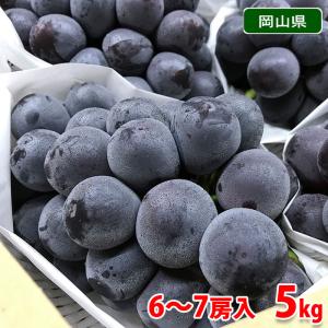 山梨県産 シャインマスカット 秀品 5kg 7〜8房入り 国産 ぶどう