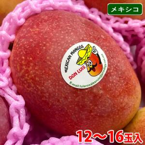 生鮮卸売市場 フルーツ 送料無料 マンゴー 14玉入り 箱 メキシカンマンゴー アップルマンゴー Tommy種