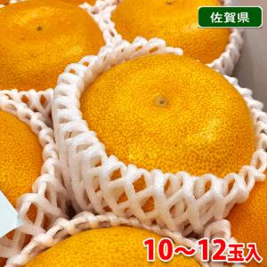 佐賀県産　せとか　秀品　10〜12玉入（化粧箱）｜promart-jp