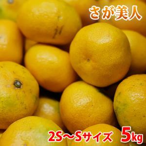 福岡県産 すもも 秀品 L〜3Lサイズ 4パック入り （箱） : 生鮮卸売市場