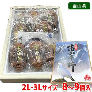 富山産 ”富山干柿” 3Lサイズ 超大粒 16個入 大箱 化粧箱【予約 12月