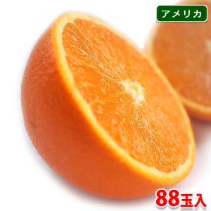 ピュアスペクト　ネーブルオレンジ　「BLACK」　88玉入り｜promart-jp