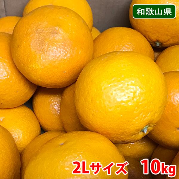 紀南　あま夏　秀品　2Lサイズ　10kg