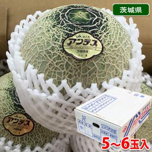 福岡県産 冷蔵柿 富有柿 秀品 L〜2Lサイズ 5kg（箱） : 生鮮卸売市場