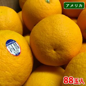 サンキスト・オレンジ （GOLDEN JOY） 88玉入り （箱）｜promart-jp