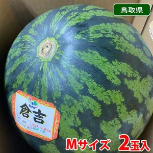 鳥取県産 すいか 大栄西瓜 無印 4Lサイズ 2玉入り （約9.5〜10kg×2玉