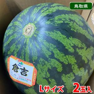 鳥取県産 すいか 大栄西瓜 無印 4Lサイズ 2玉入り （約9.5〜10kg×2玉