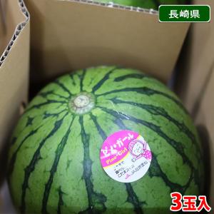 長崎県産　小玉すいか （こだま西瓜） 秀品　3Lサイズ　3玉入り （箱）｜promart-jp