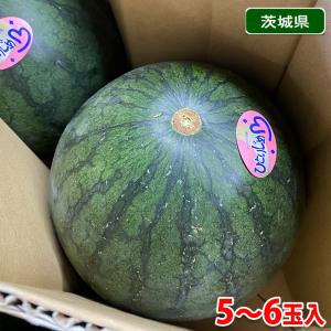 茨城県産　すいか　小玉すいか（こだま西瓜）秀品　M〜Lサイズ　5〜6玉入り（箱）｜promart-jp