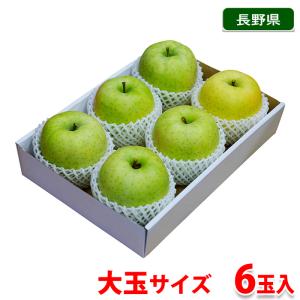 長野県産　りんご　王林 （おうりん） 秀品　大玉サイズ　6玉入 （化粧箱）｜promart-jp