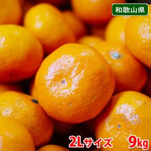 和歌山県産　田村みかん　秀品　2Lサイズ　9〜10kg（箱）｜promart-jp