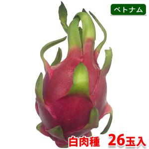 　ベトナム産　ドラゴンフルーツ　白肉種　26玉入り（1箱）