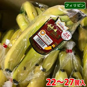 フィリピン産　バナナ　甘熟王（ハイランド） 22〜27房入り／箱｜promart-jp