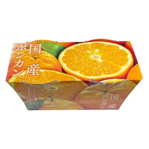 黄金の果実 国産 ポンカン ゼリー(120g×...の詳細画像2