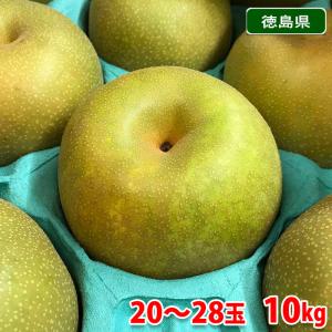 徳島県産　梨　幸水　秀品　20〜28玉入り　10kg（箱）｜promart-jp