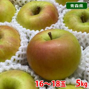 青森県産　りんご　ぐんま名月　秀品　16〜18玉入　5kg （箱） 群馬名月 国産 リンゴ｜promart-jp