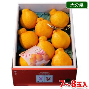 大分県産　デコポン　秀品　7〜8玉入り （化粧箱）｜promart-jp