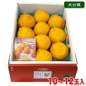 大分県産　デコポン　秀品　10〜12玉入り （化粧箱）｜promart-jp