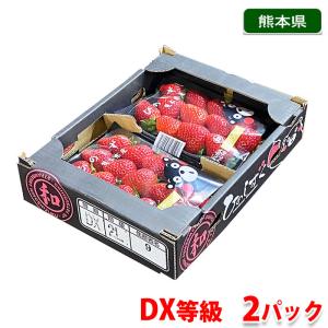 フルーツ いちご 品種 ひのしずく フルーツ 食品 通販 Yahoo ショッピング