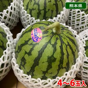 熊本県産　小玉すいか（こだま西瓜）秀品　M〜2Lサイズ　4〜6玉入（箱）｜promart-jp