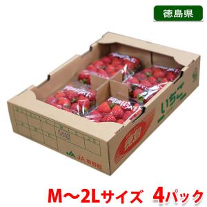 徳島県産　いちご　阿波ほうべに　M〜2Lサイズ　4パック入 （箱）｜promart-jp