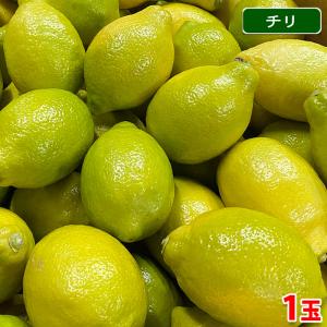 チリ産 レモン 約165玉入 約17.2kg （箱） : 生鮮卸売市場 - 通販
