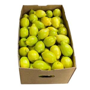 チリ産 レモン 1玉 バラ売りの詳細画像1