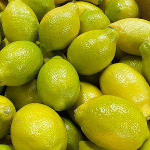 チリ産 レモン 1玉 バラ売りの詳細画像2