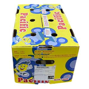 チリ産 レモン 1玉 バラ売りの詳細画像3