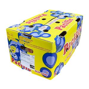 チリ産 レモン 1玉 バラ売りの詳細画像5