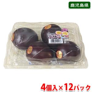 鹿児島県産　パッションフルーツ　A等級　4玉入り （パック） 国産 果物 フルーツ｜promart-jp
