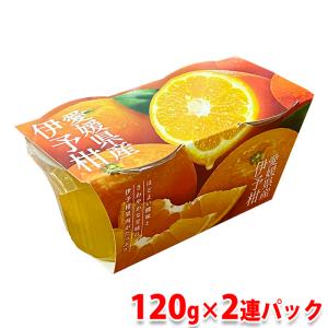 金箔 こまか K-2 0.4g（食用金箔／料理用金箔） : 生鮮卸売市場 - 通販