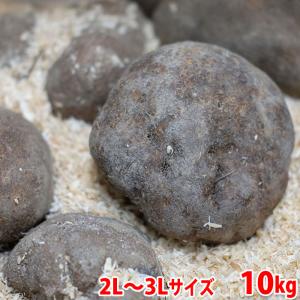 値下げ 業者様専用 最安値 石川県 加賀 丸いも ワケあり 小玉 10キロ