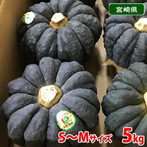 　宮崎県産　黒皮かぼちゃ　S〜Mサイズ　8個前後入り　5kg