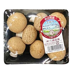 岡山県産 マッシュルーム(ブラウン) 5〜10...の詳細画像2