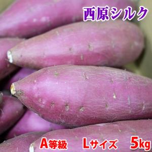 熊本県産（JA阿蘇西原）さつまいも　シルクスイート　A等級　Lサイズ　約5kg（15〜24本前後入）箱入り｜promart-jp