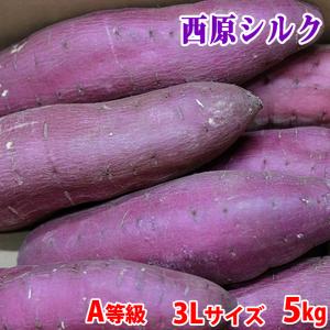 熊本県産（JA阿蘇西原）さつまいも　シルクスイート　A等級　3Lサイズ　約5kg（8〜10本入）箱入り｜promart-jp