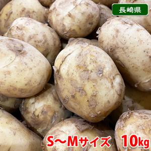 長崎県産 馬鈴薯（ばれいしょ）　A等級　S〜Mサイズ　10kg｜promart-jp