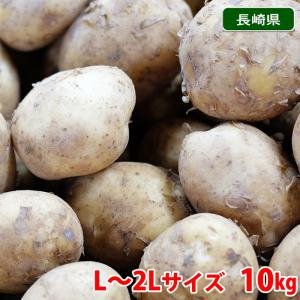 長崎県産 馬鈴薯（ばれいしょ）　A等級　L〜2Lサイズ　10kg｜promart-jp